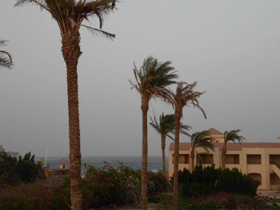 Blick aus dem Zimmer Cleopatra Luxury Resort Makadi Bay