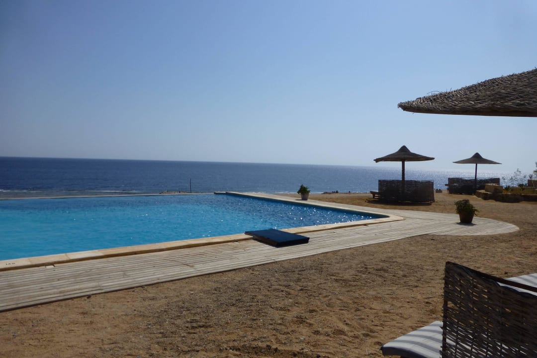 Pool The Oasis Dive Resort