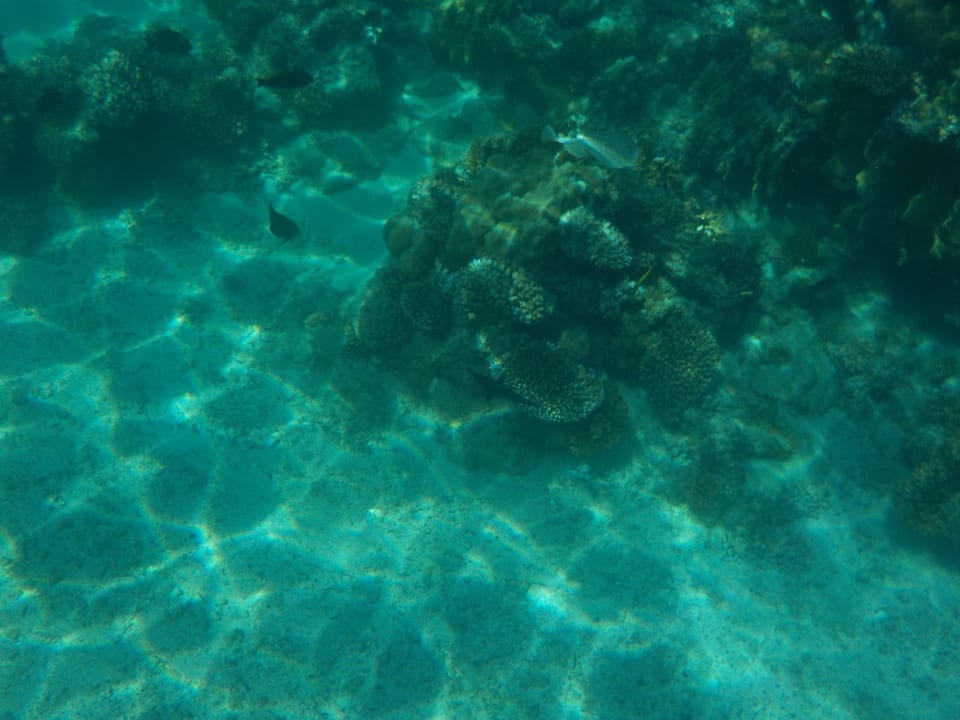 Strand Mövenpick Resort El Quseir