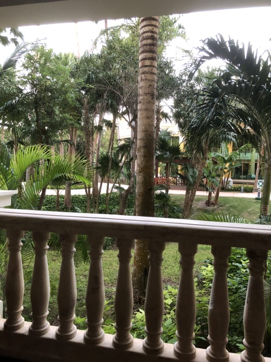 Ausblick JOIA Paraiso by Iberostar