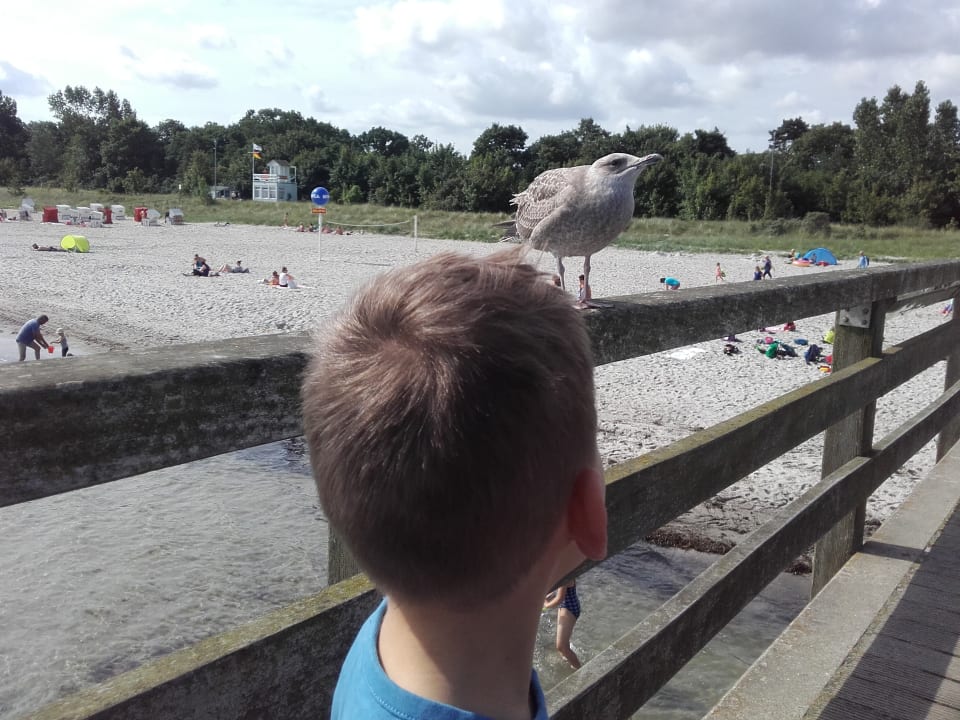 Strand Seehotel Großherzog von Mecklenburg