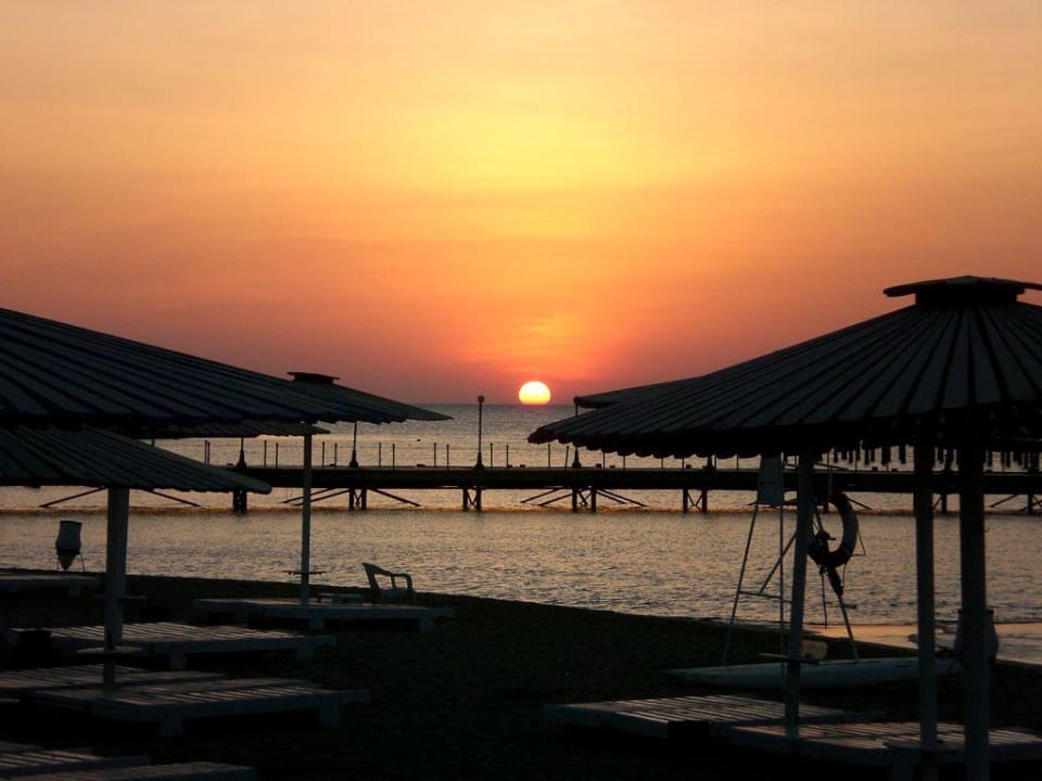 Sonnenaufgang Eagles Paradise Abu Soma