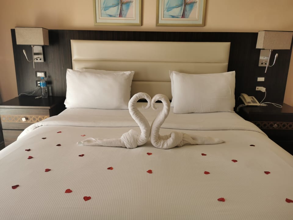 Zimmer Pickalbatros Palace Resort