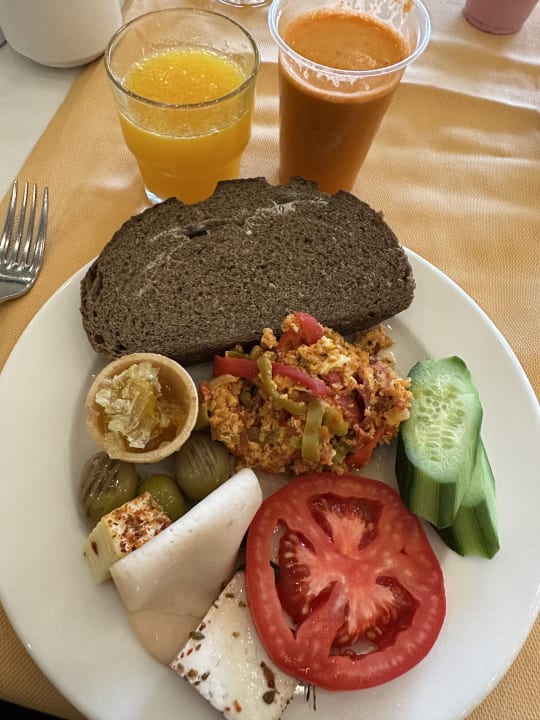 Gastro Seashell Vega