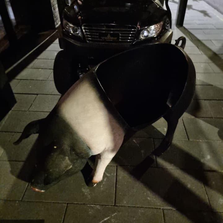 Sonstiges Hotel friends Zeche-Zollverein Essen