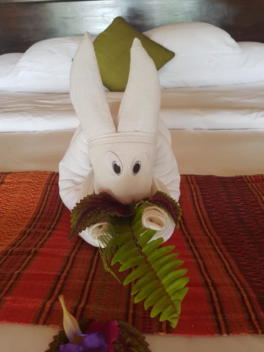 Hatten wohl den besten room Boy  Kuredu Island Resort & Spa