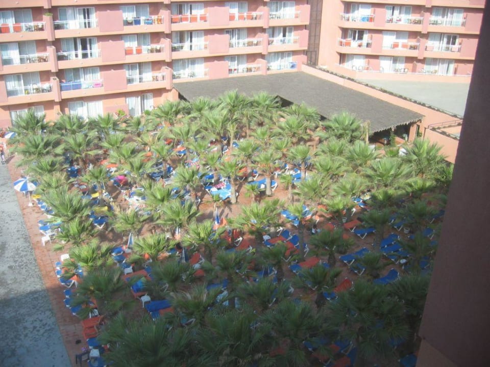 Liegen am Pool / Playaluna Hotel Best Roquetas