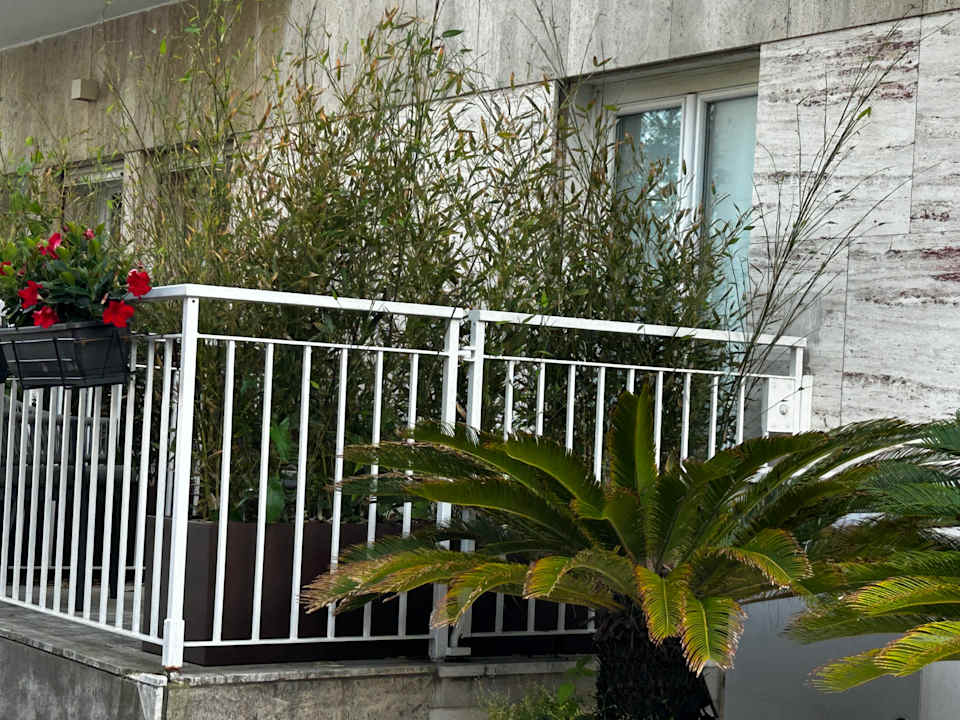 Außenansicht Hotel Petit Palais