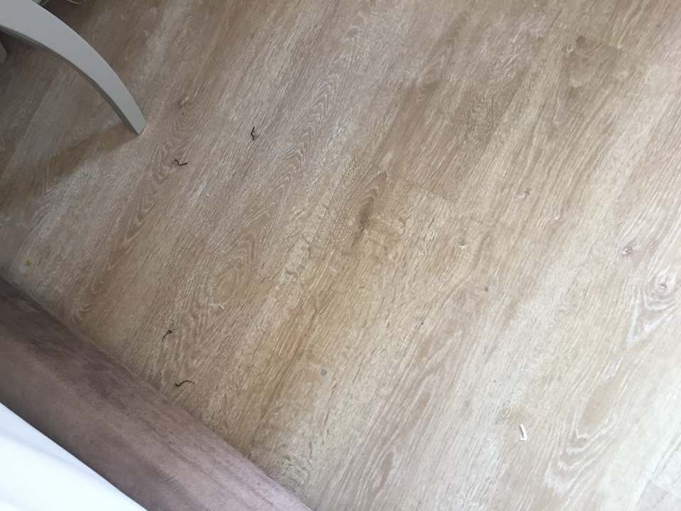 Zimmer Well Palace Side