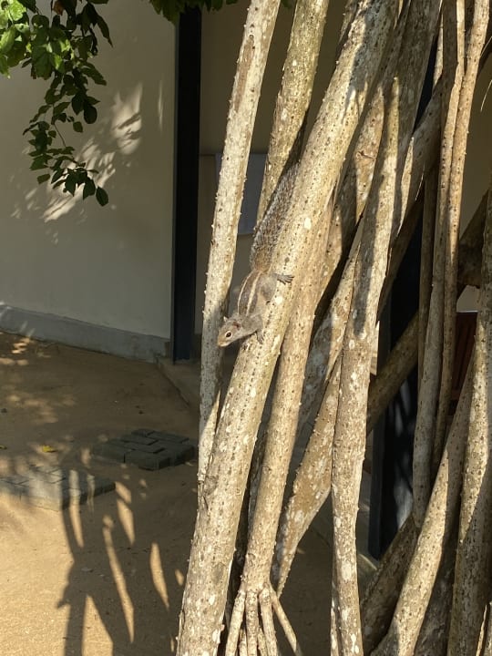 Garten Mermaid Hotel & Club