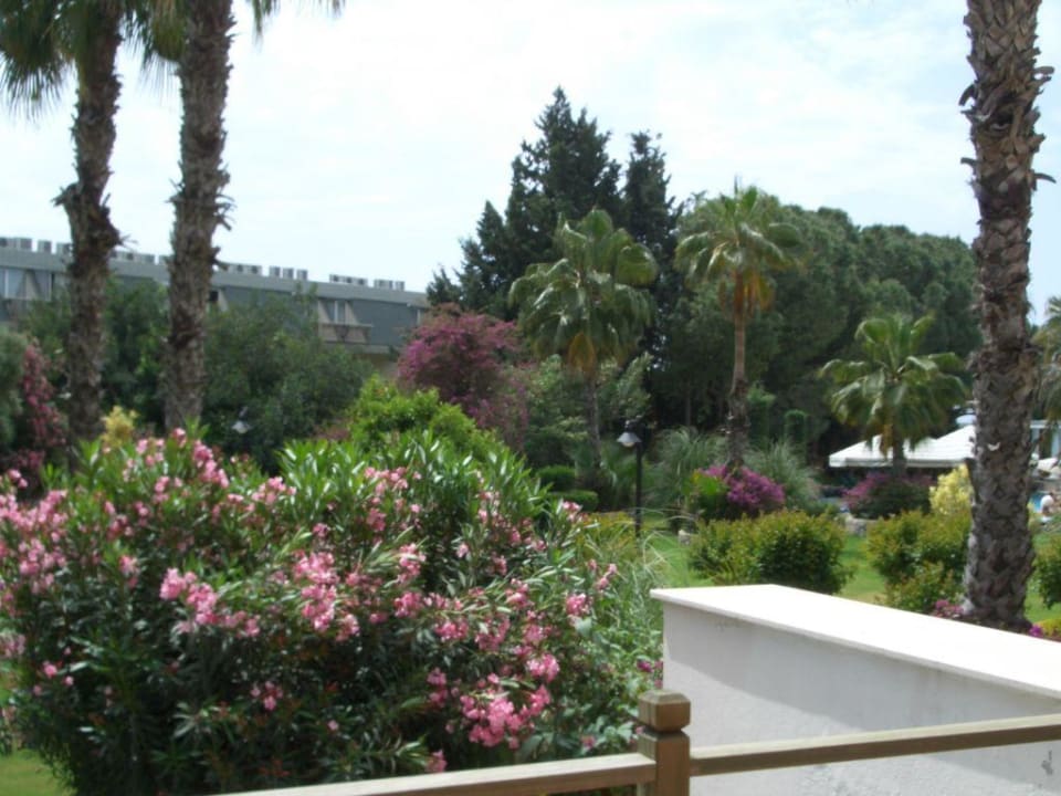 Gartenanlage Hotel Oleander