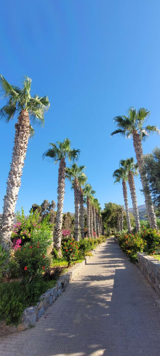 Gartenanlage Ikaros Beach Luxury Resort & Spa - Adults Only