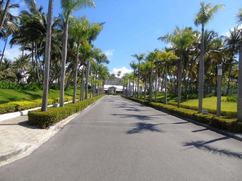 Hotel Hotel Riu Palace Macao - Adults only