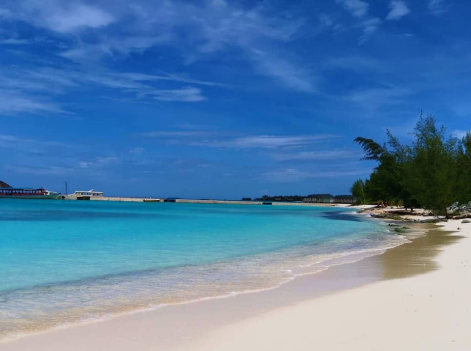 Strand Summer Island Maldives