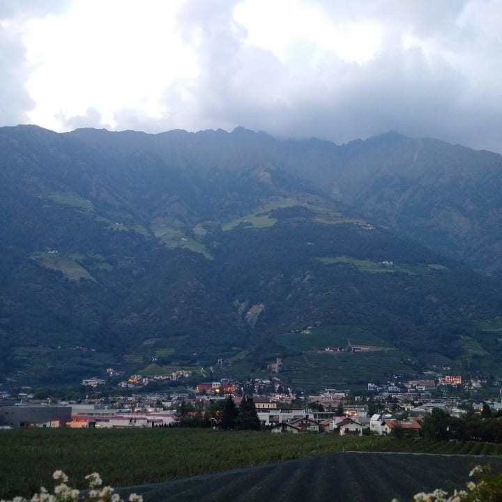 Vom Balkon  Pension Lärchenhof