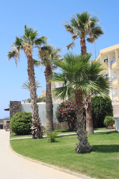 Gartenanlage Hotel Aphrodite Beach Club