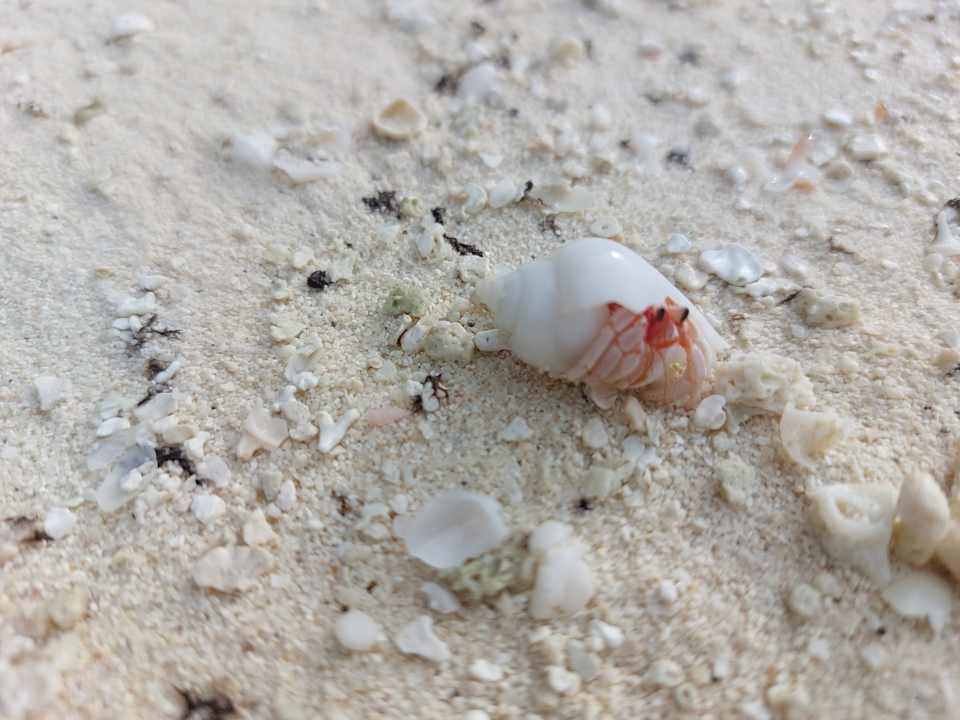 Strand Kuramathi Maldives