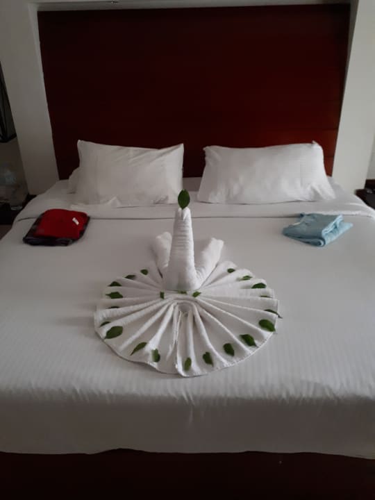 Zimmer Coral Sea Holiday Village