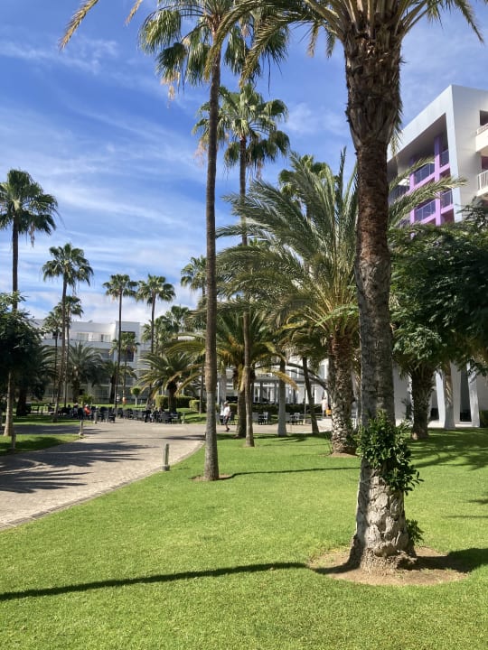 Gartenanlage Hotel Riu Gran Canaria