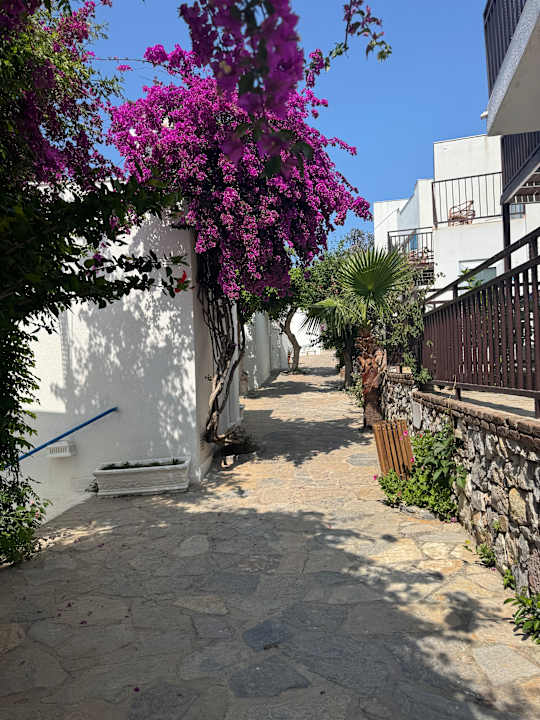 Gartenanlage Blue Dreams Resort & Spa