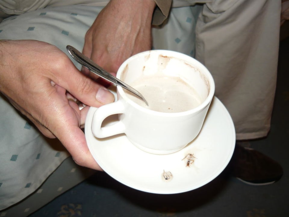 Kakerlaken im Kakao Hotel El Mouradi Djerba Menzel