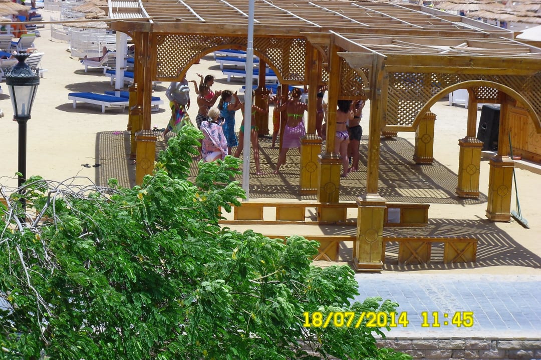 Annimation,  Pickalbatros Dana Beach Resort - Hurghada
