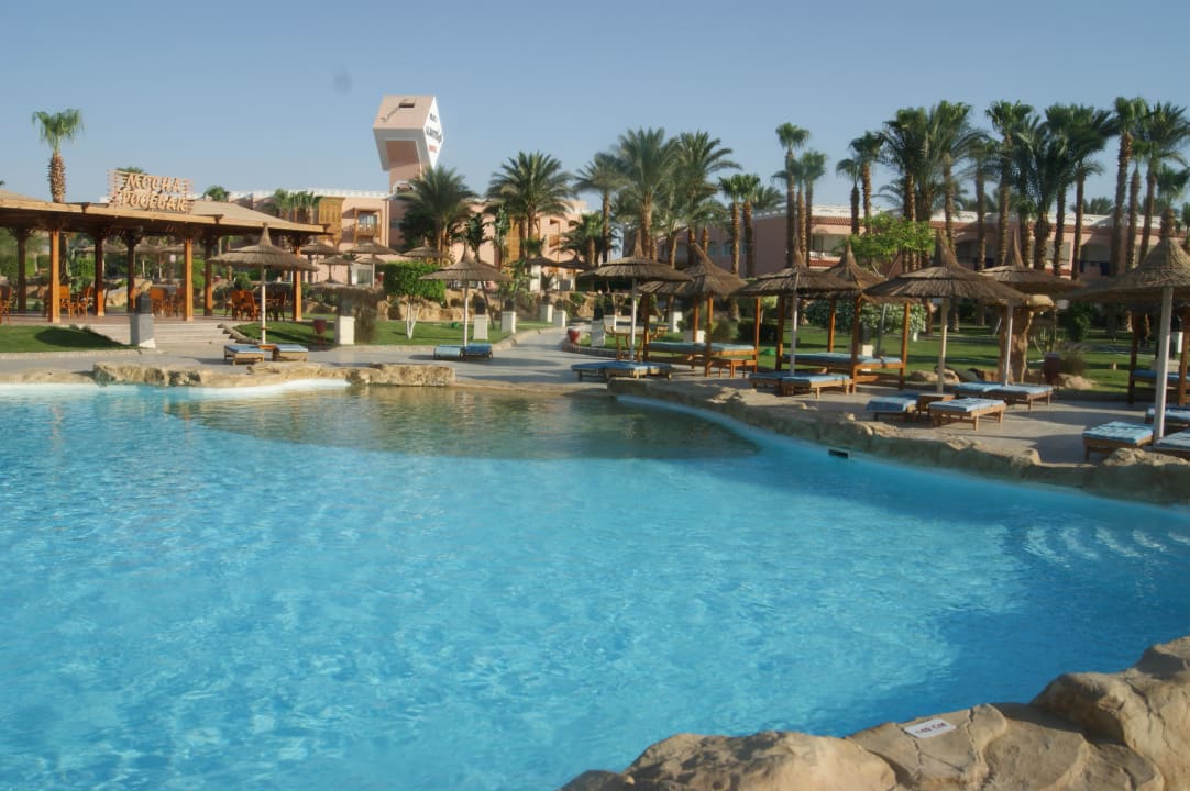 Pool in der Gartenanlage Beach Albatros Resort
