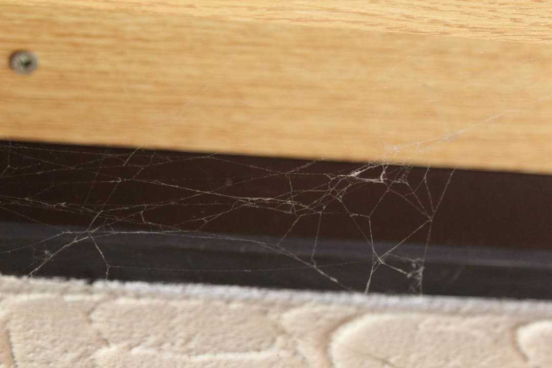 Spinnweben an der Decke Hotel Astel