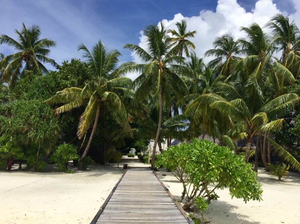 Ausblick Medhufushi Island Resort