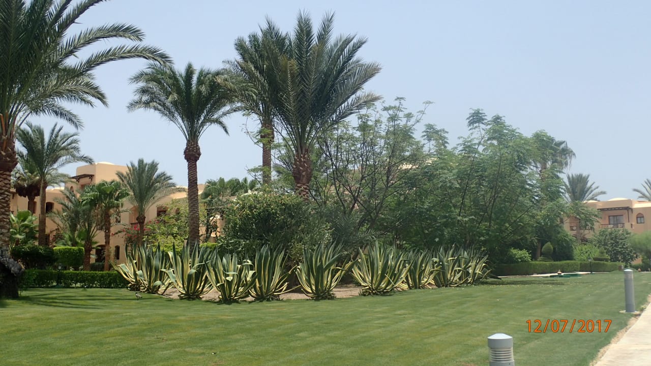 Gartenanlage Steigenberger Coraya Beach - Adults only