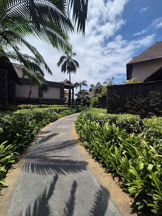 Gartenanlage The Westin Turtle Bay Resort & Spa