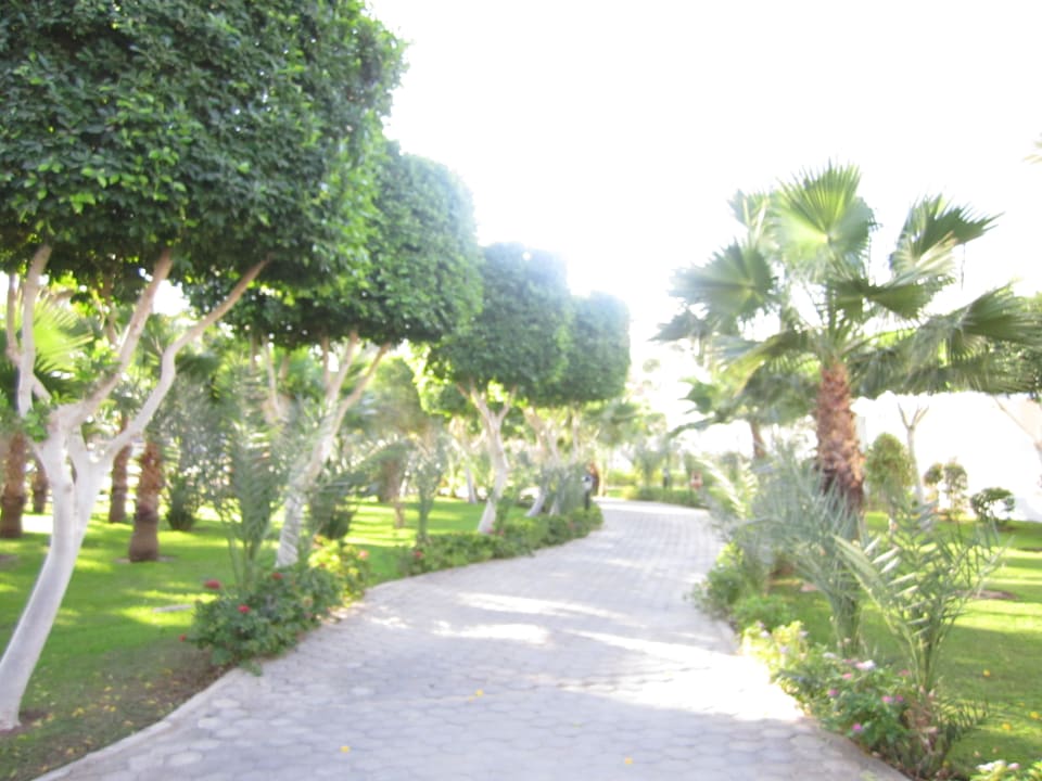 Garten Sultan Gardens Resort