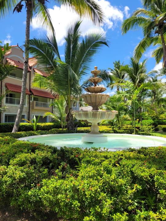 Gartenanlage TRS Turquesa Hotel - Adults only