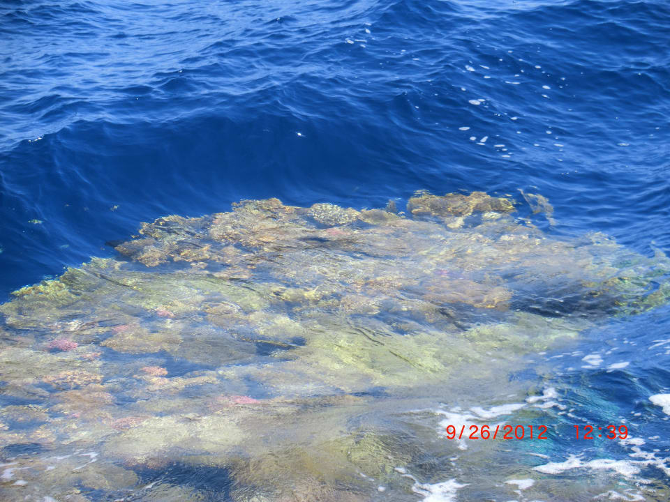 Reef The Grand Hotel Sharm El Sheikh