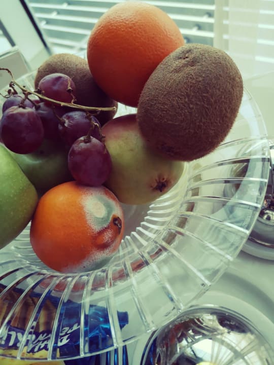 Zimmer DoubleTree by Hilton Hotel Istanbul-Moda
