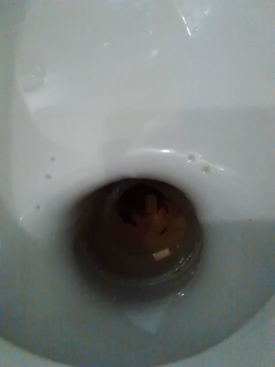 Toaleta Centrum Kongresów i Rekreacji Orle Gniazdo