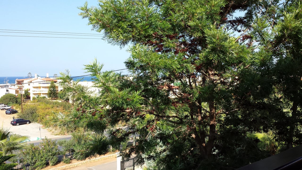 Vom Balkon Hotel Cactus Village