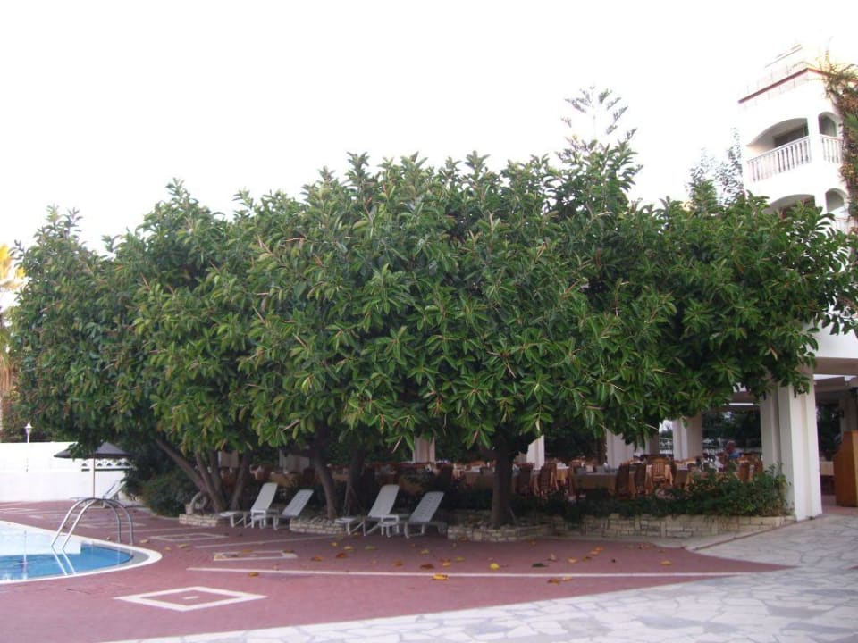 Sehr schöne Gartenanlage Hotel Defne Ana