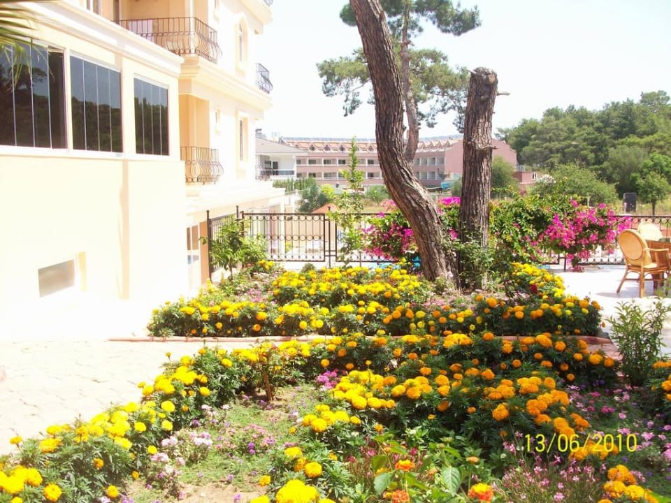 Garten Hotel Forest Park