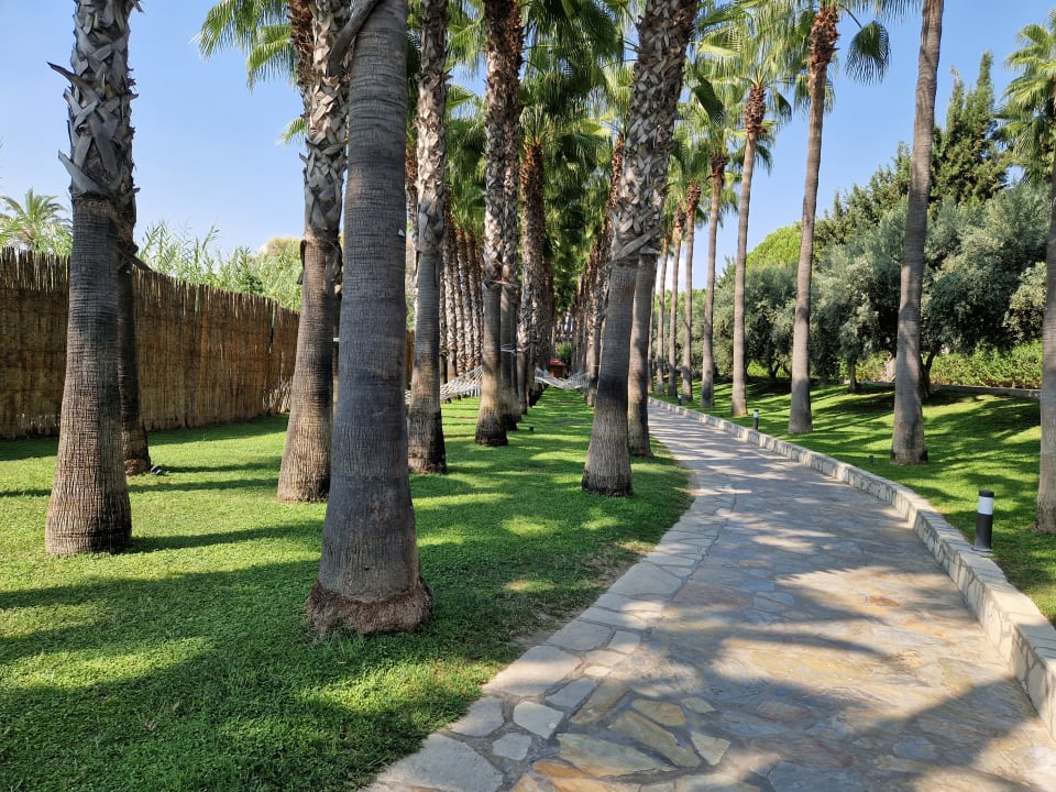 Gartenanlage Miramare Queen Hotel