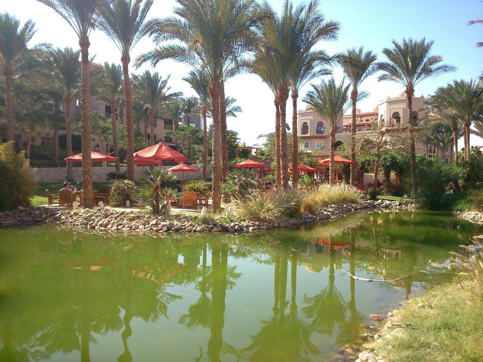 Teich beim Sun Set,links das Makadi Spa Makadi Palace