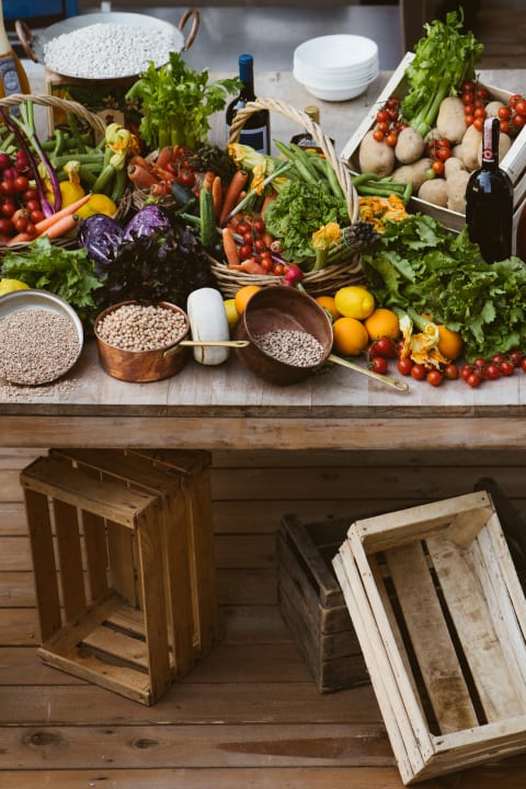 Gastro Palazzo BelVedere