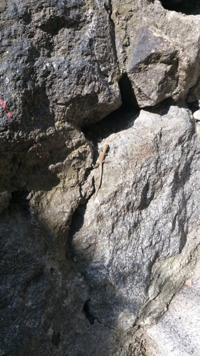 Sonstiges Montara Suites Bodenmais