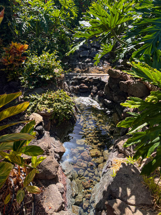 Gartenanlage Hotel Cordial Mogán Playa