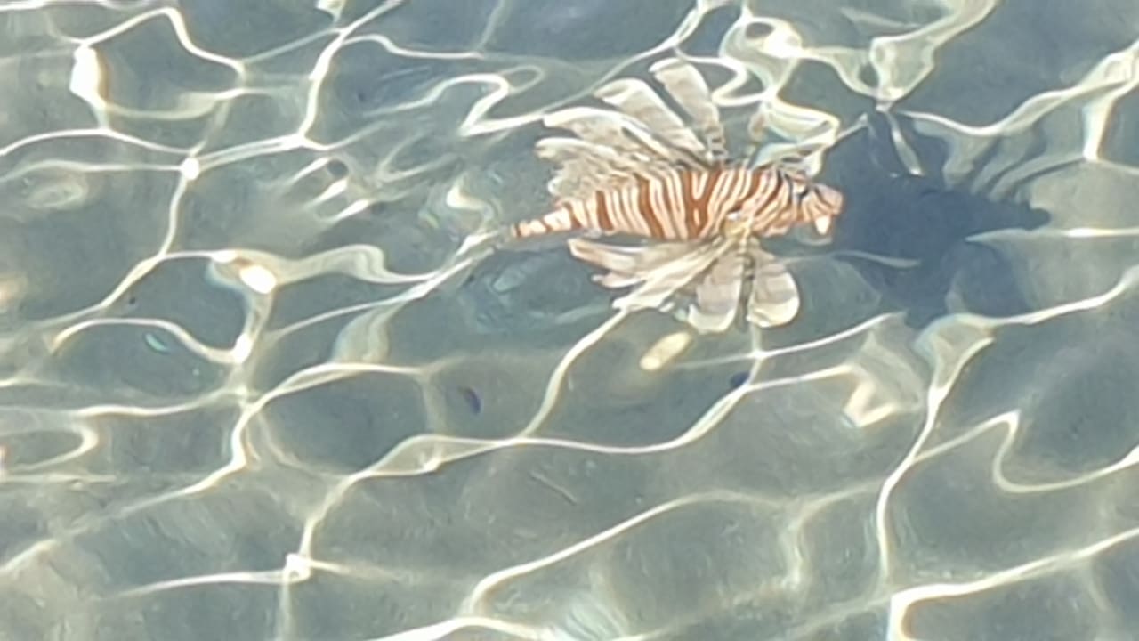 Strand Cleopatra Luxury Resort Makadi Bay