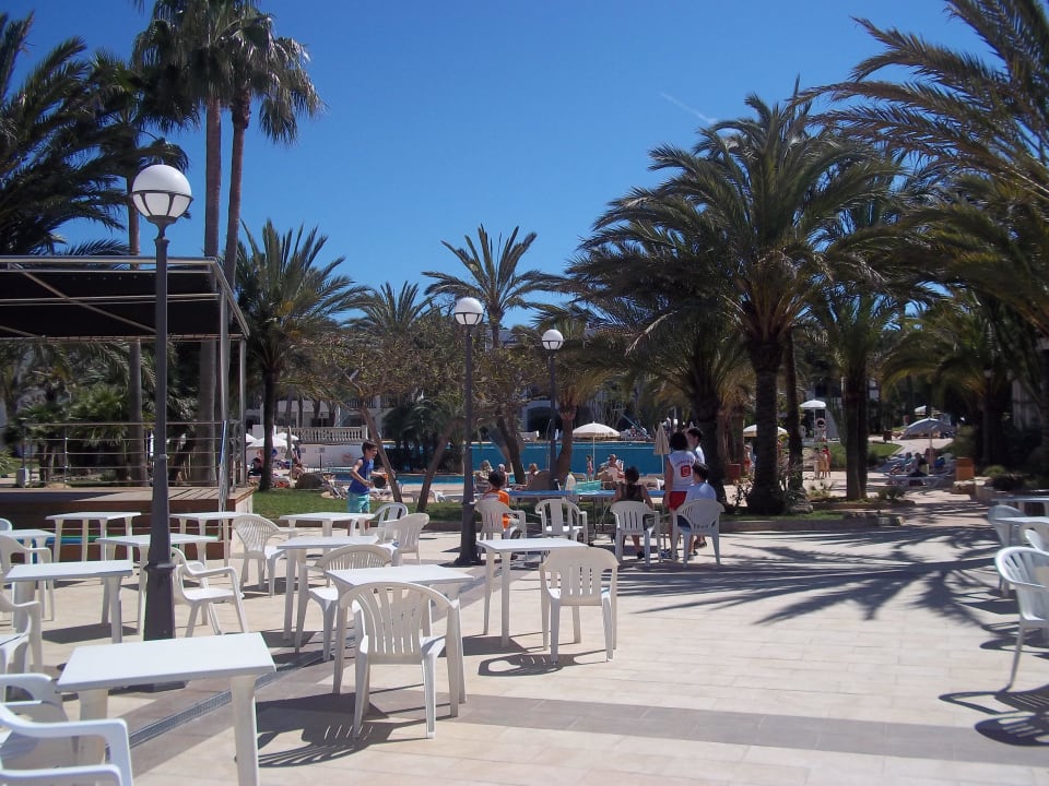 Ausblick Innehof / Poollandschaft Calimera Fido Gardens