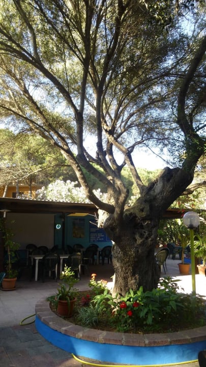 Cala Liberotto Haus 555 - Stdandbar Sardafit Nr. 555a - Surfer's Traumhaus an zwei Sandstränden