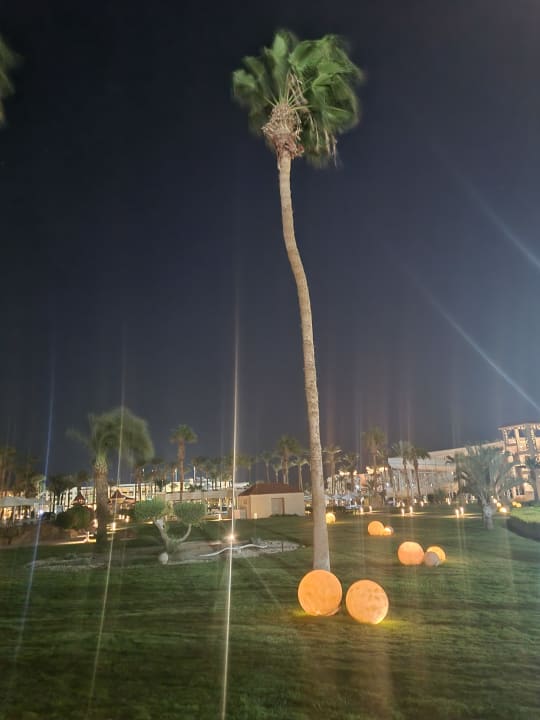 Außenansicht Beach Albatros Resort