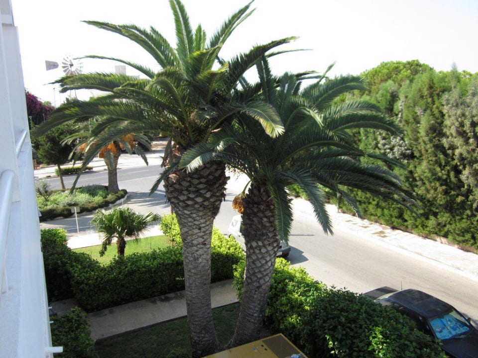 Palmen Hotel Nissi Park