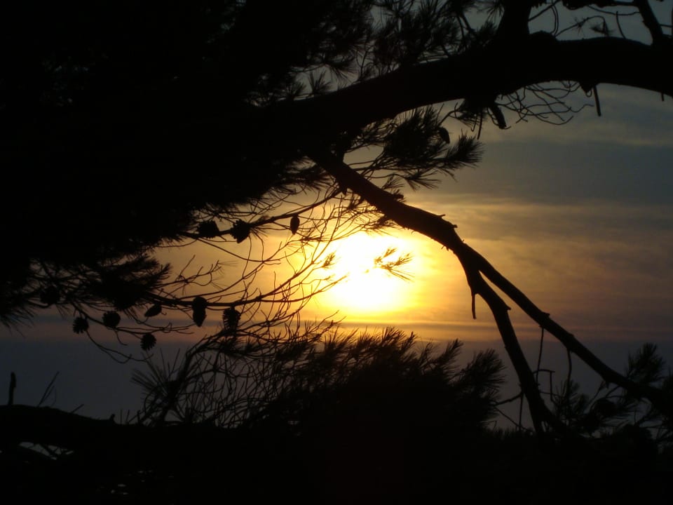 Sonnenaufgang vom Hotelbalkon auf das Meer VIVA Cala Mesquida Suites & Spa 16+